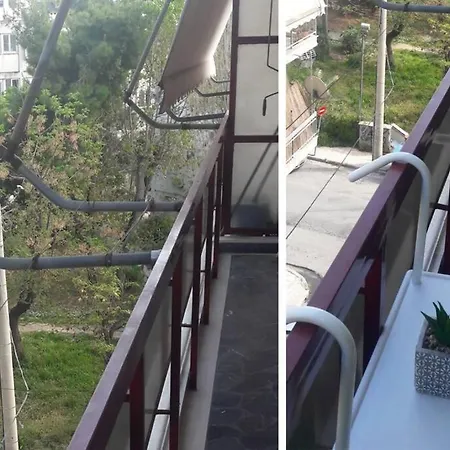 Elegant & Charming Apt. In The Hilton Area